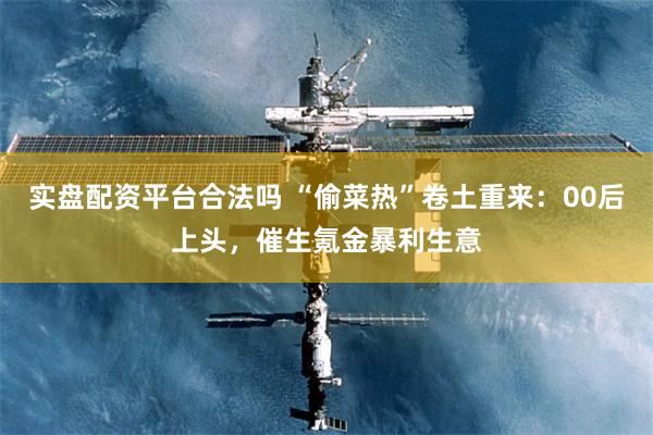 实盘配资平台合法吗 “偷菜热”卷土重来：00后上头，催生氪金暴利生意