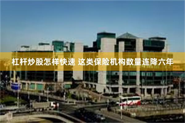 杠杆炒股怎样快速 这类保险机构数量连降六年