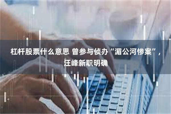 杠杆股票什么意思 曾参与侦办“湄公河惨案”，汪峰新职明确