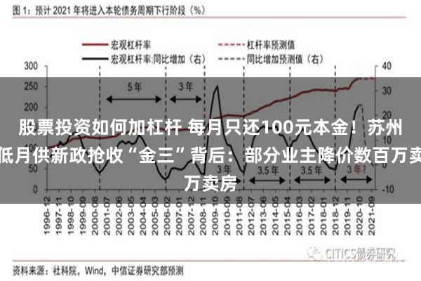 股票投资如何加杠杆 每月只还100元本金！苏州出低月供新政抢收“金三”背后：部分业主降价数百万卖房