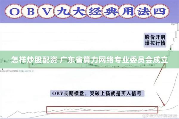 怎样炒股配资 广东省算力网络专业委员会成立