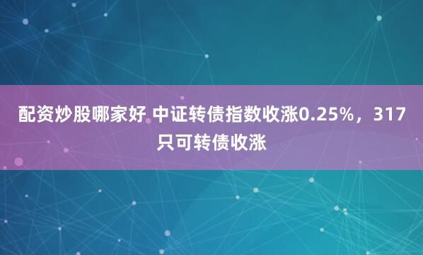 配资炒股哪家好 中证转债指数收涨0.25%，317只可转债收涨
