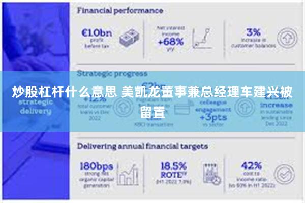 炒股杠杆什么意思 美凯龙董事兼总经理车建兴被留置