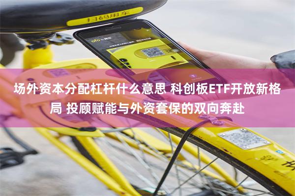 场外资本分配杠杆什么意思 科创板ETF开放新格局 投顾赋能与外资套保的双向奔赴