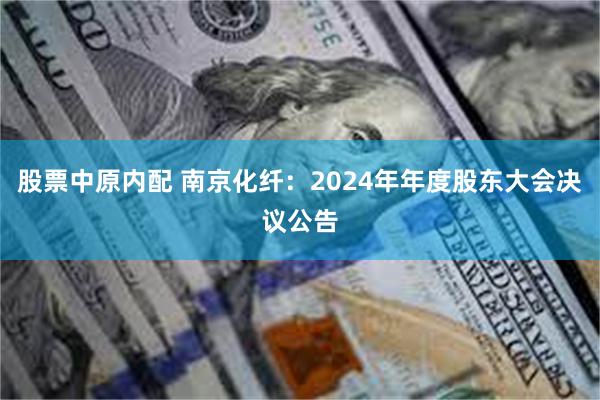 股票中原内配 南京化纤：2024年年度股东大会决议公告