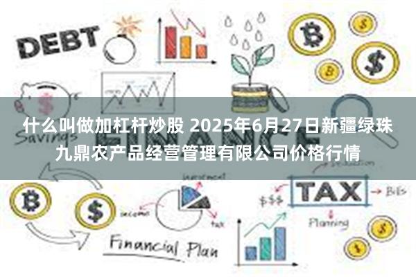什么叫做加杠杆炒股 2025年6月27日新疆绿珠九鼎农产品经营管理有限公司价格行情