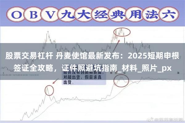 股票交易杠杆 丹麦使馆最新发布：2025短期申根签证全攻略，证件照避坑指南_材料_照片_px