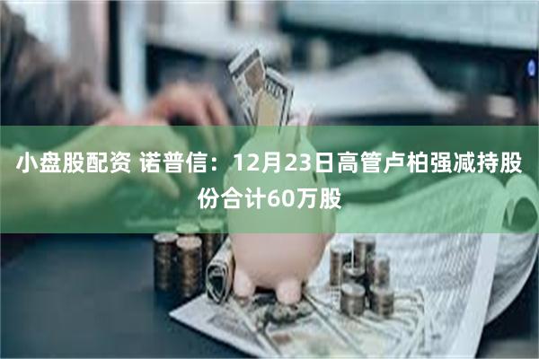 小盘股配资 诺普信：12月23日高管卢柏强减持股份合计60万股